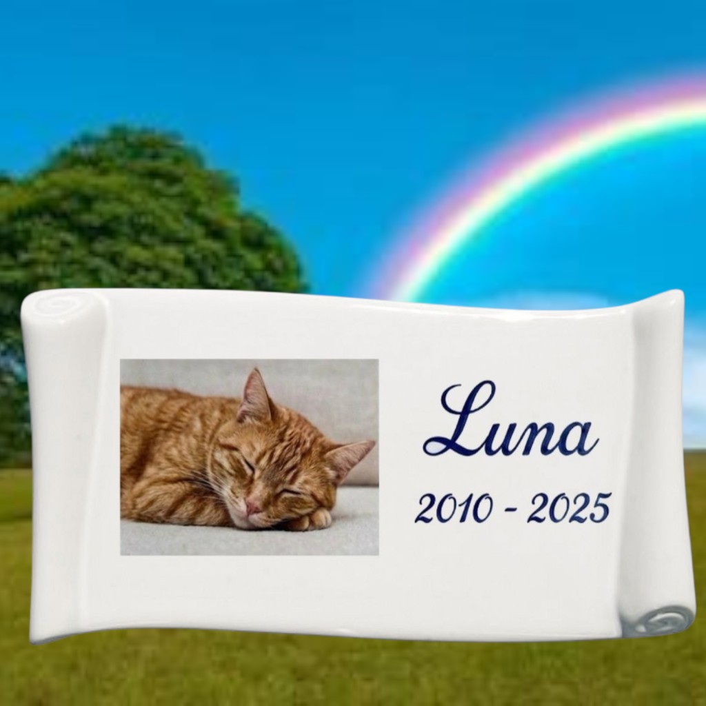 Targa commemorativa gatto